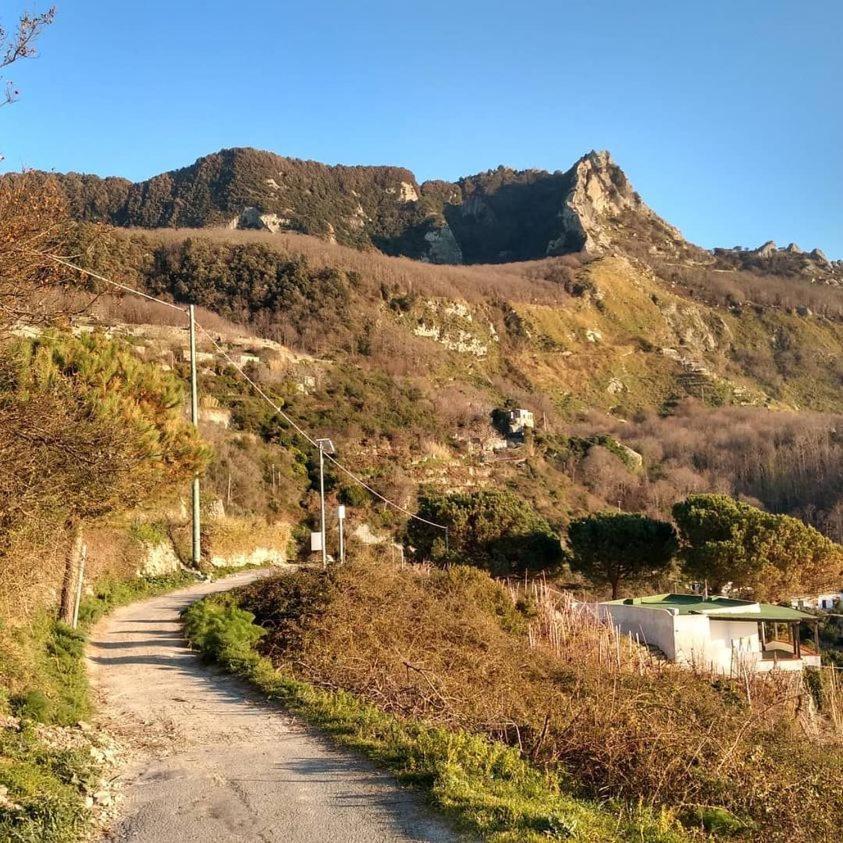 Villa Thomas Bb Conduzione Familiare Forio  Bagian luar foto