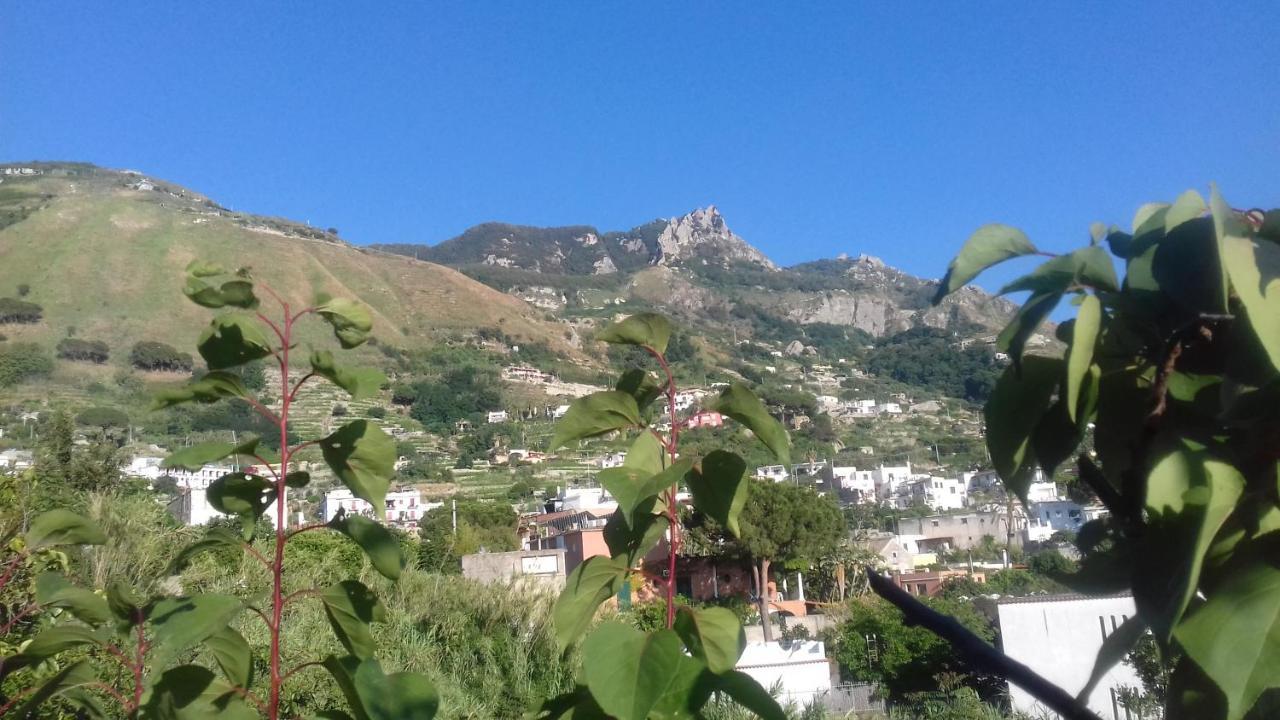 Villa Thomas Bb Conduzione Familiare Forio  Bagian luar foto